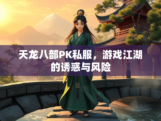 天龙八部PK私服，游戏江湖的诱惑与风险  第2张