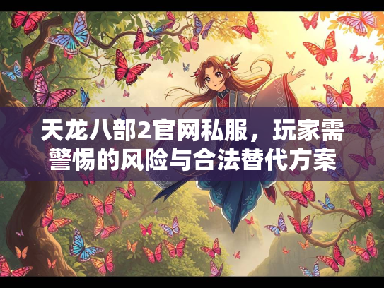 天龙八部2官网私服，玩家需警惕的风险与合法替代方案  第1张