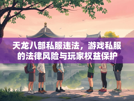 天龙八部私服违法，游戏私服的法律风险与玩家权益保护  第2张