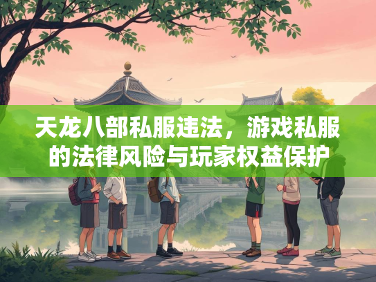 天龙八部私服违法，游戏私服的法律风险与玩家权益保护  第3张