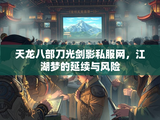 天龙八部刀光剑影私服网，江湖梦的延续与风险  第2张