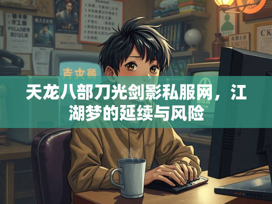 天龙八部刀光剑影私服网，江湖梦的延续与风险  第3张