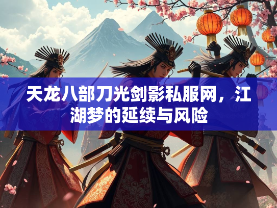 天龙八部刀光剑影私服网，江湖梦的延续与风险  第1张
