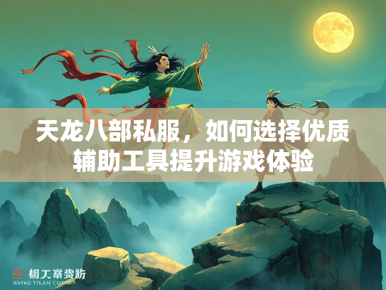 天龙八部私服，如何选择优质辅助工具提升游戏体验  第2张