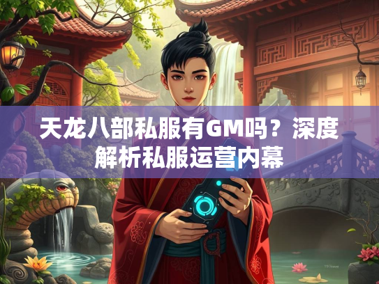 天龙八部私服有GM吗？深度解析私服运营内幕  第1张