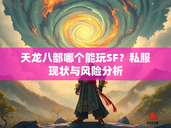 天龙八部哪个能玩SF？私服现状与风险分析  第2张