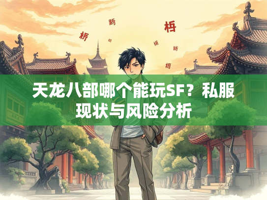 天龙八部哪个能玩SF？私服现状与风险分析  第3张