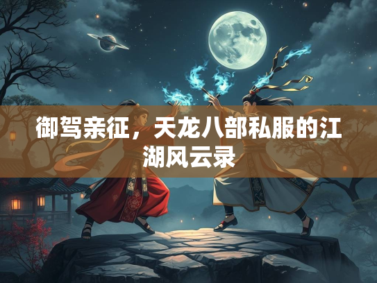 御驾亲征，天龙八部私服的江湖风云录  第2张