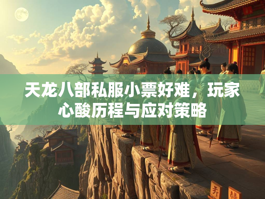 天龙八部私服小票好难，玩家心酸历程与应对策略