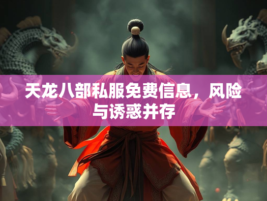 天龙八部私服免费信息，风险与诱惑并存