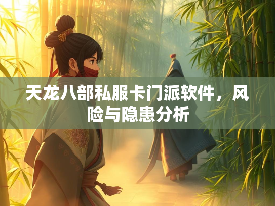 天龙八部私服卡门派软件，服卡风险分析<strong></strong>风险与隐患分析  第1张