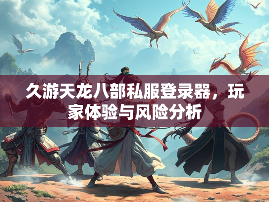 久游天龙八部私服登录器，玩家体验与风险分析  第2张
