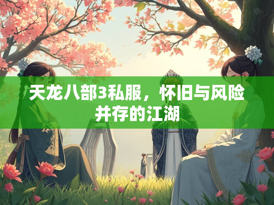 天龙八部3私服，怀旧与风险并存的江湖  第1张
