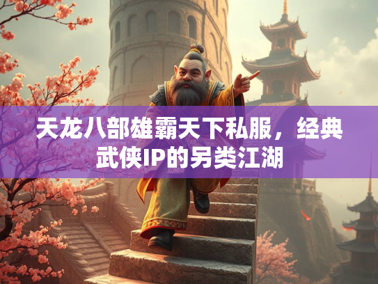 天龙八部雄霸天下私服，经典武侠IP的另类江湖  第3张