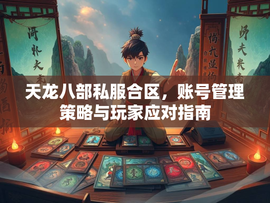 天龙八部私服合区，账号管理策略与玩家应对指南  第3张