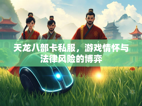 天龙八部卡私服，游戏情怀与法律风险的博弈  第3张