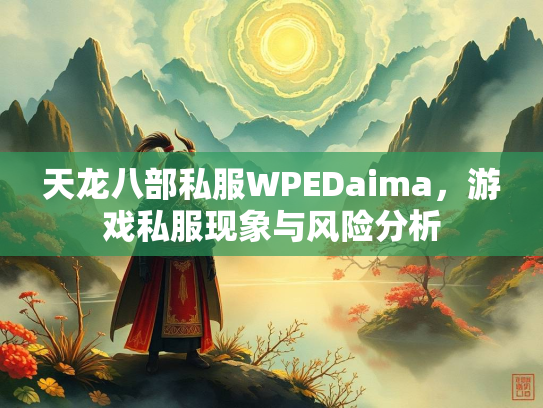 天龙八部私服WPEDaima，游戏私服现象与风险分析  第2张