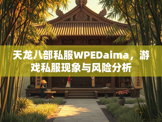 天龙八部私服WPEDaima，游戏私服现象与风险分析  第3张
