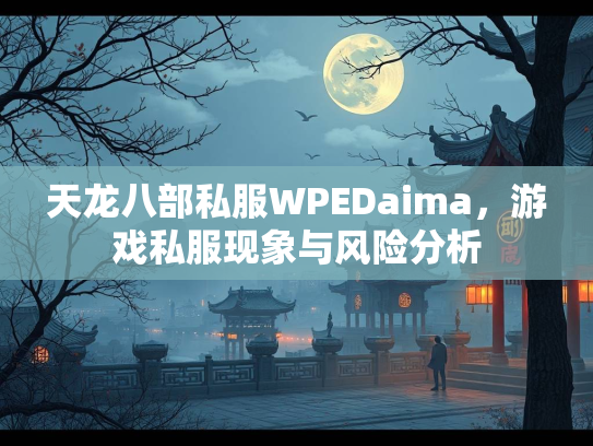天龙八部私服WPEDaima，游戏私服现象与风险分析  第1张