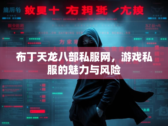 布丁天龙八部私服网，游戏私服的魅力与风险  第3张