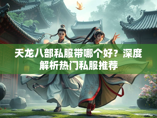 天龙八部私服带哪个好？深度解析热门私服推荐  第3张