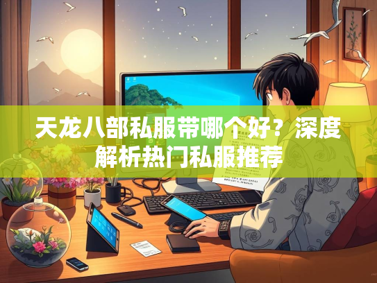 天龙八部私服带哪个好？深度解析热门私服推荐  第1张