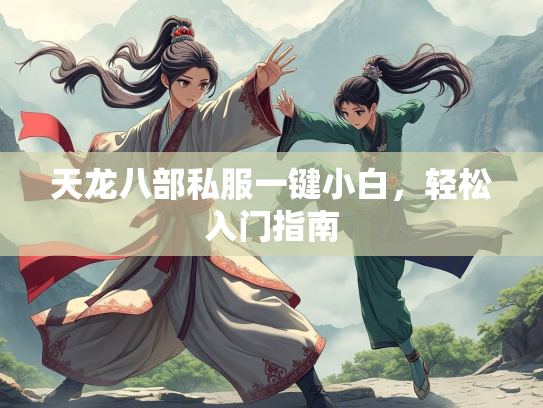 天龙八部私服一键小白，轻松入门指南  第2张