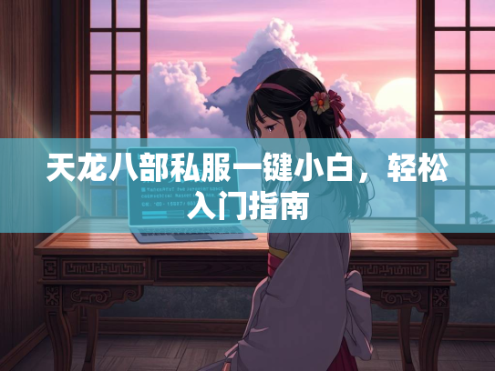 天龙八部私服一键小白，轻松入门指南  第3张