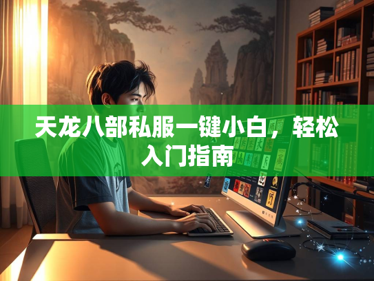 天龙八部私服一键小白，轻松入门指南  第1张