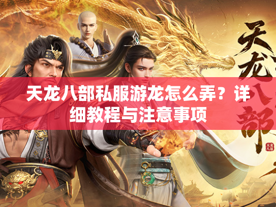 天龙八部私服游龙怎么弄？详细教程与注意事项  第2张