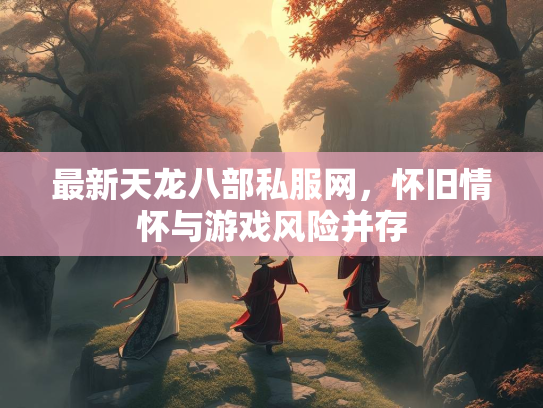 最新天龙八部私服网，怀旧情怀与游戏风险并存  第2张