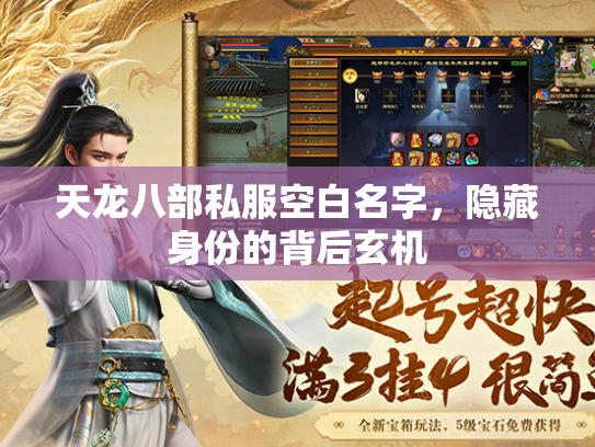 天龙八部私服空白名字，隐藏身份的部私白名背后背后玄机  第1张