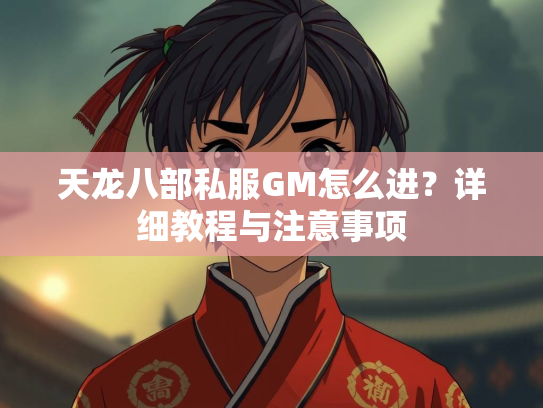 天龙八部私服GM怎么进？详细教程与注意事项  第3张