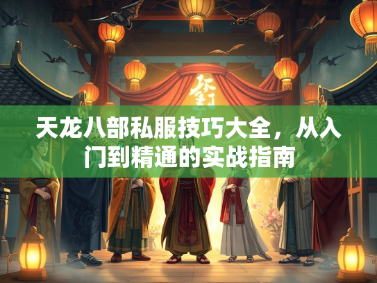 天龙八部私服技巧大全，从入门到精通的实战指南  第3张