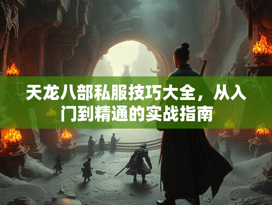 天龙八部私服技巧大全，从入门到精通的实战实战指南  第1张