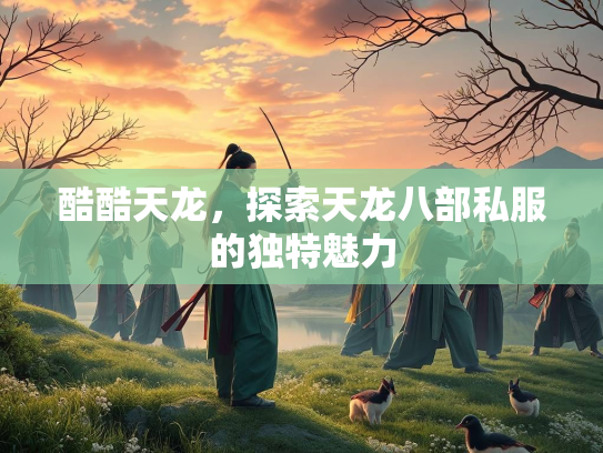 酷酷天龙，探索天龙八部私服的独特魅力  第3张