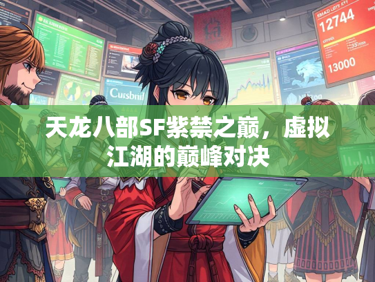 天龙八部SF紫禁之巅，虚拟江湖的巅峰对决  第1张