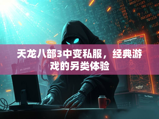 天龙八部3中变私服，经典游戏的另类体验  第2张