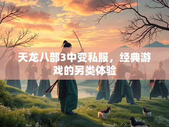 天龙八部3中变私服，经典游戏的另类体验  第3张