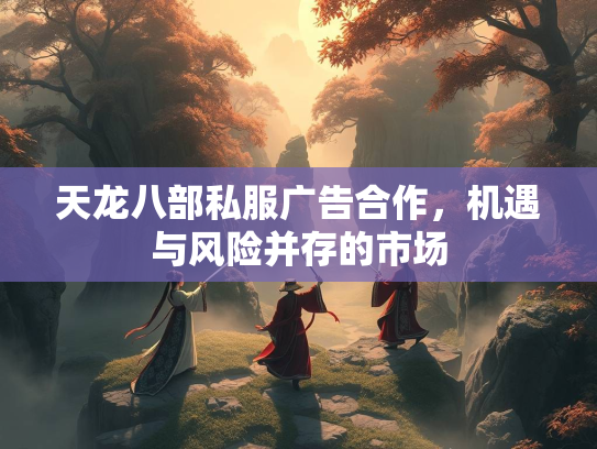 天龙八部私服广告合作，机遇与风险并存的市场  第2张