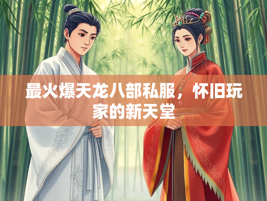 最火爆天龙八部私服，怀旧玩家的新天堂  第2张