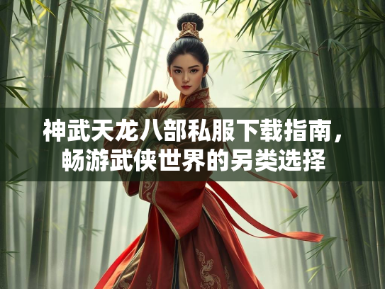 神武天龙八部私服下载指南，畅游武侠世界的另类选择  第3张