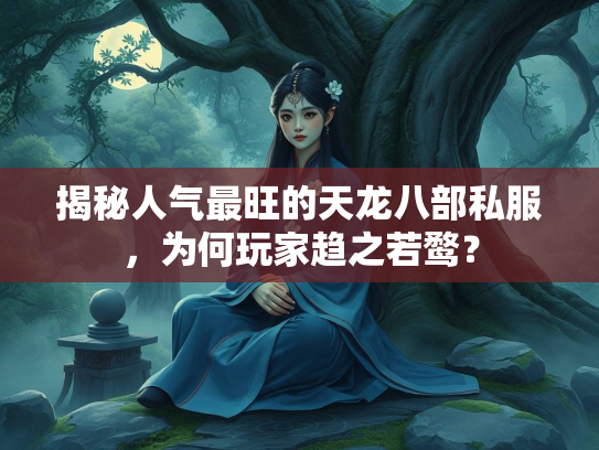 揭秘人气最旺的天龙八部私服，为何玩家趋之若鹜？  第3张