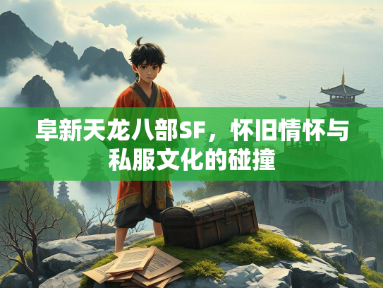 阜新天龙八部SF，怀旧情怀与私服文化的碰撞  第2张