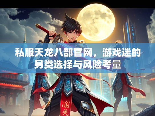 私服天龙八部官网，游戏迷的另类选择与风险考量