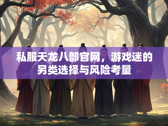 私服天龙八部官网，游戏迷的另类选择与风险考量