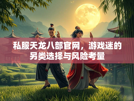 私服天龙八部官网，游戏迷的另类选择与风险考量