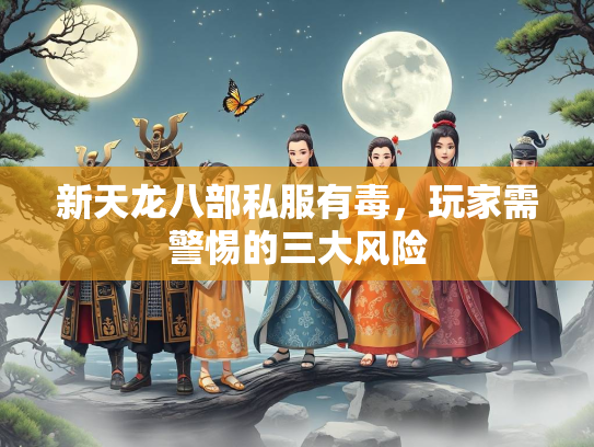 新天龙八部私服有毒，玩家需警惕的三大风险  第3张