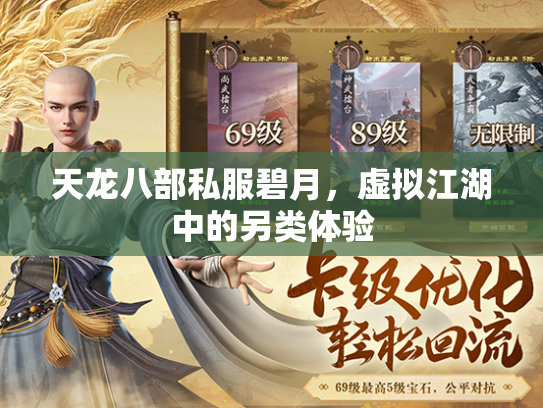 天龙八部私服碧月，虚拟江湖中的另类体验  第1张