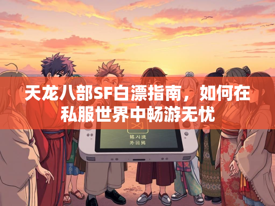 天龙八部SF白漂指南，如何在私服世界中畅游无忧  第3张